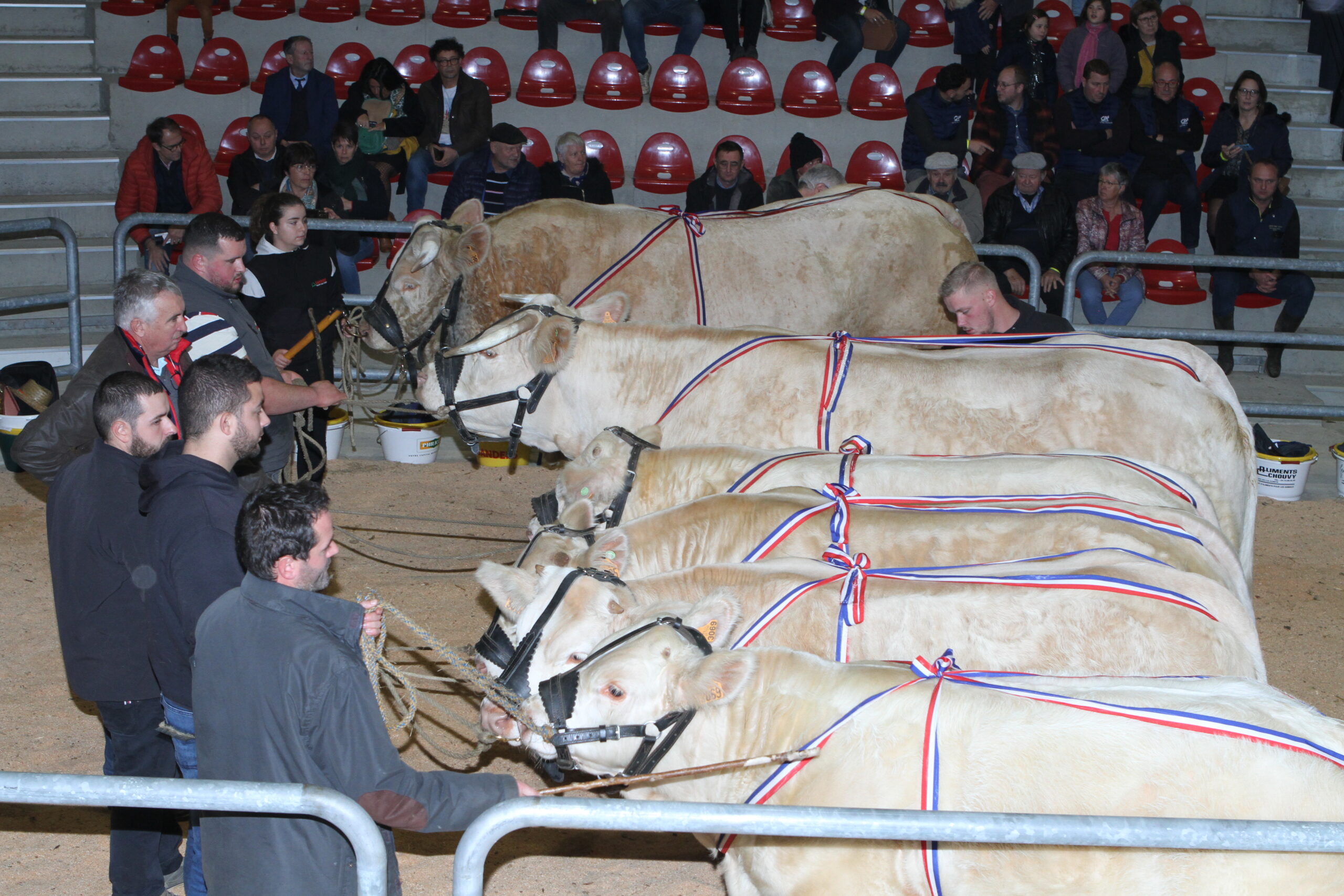 lauréats concours charolais pays de saint-eloy